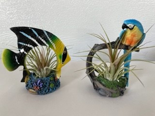 5" Tropical Fish/Bird W/ tilla
