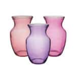 Rose Vs 8" Sheer Bloomberry Asst 12cs