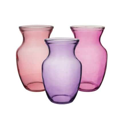Rose Vs 8" Sheer Bloomberry Asst 12cs