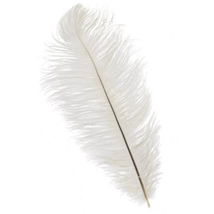 Feather ostrich white each