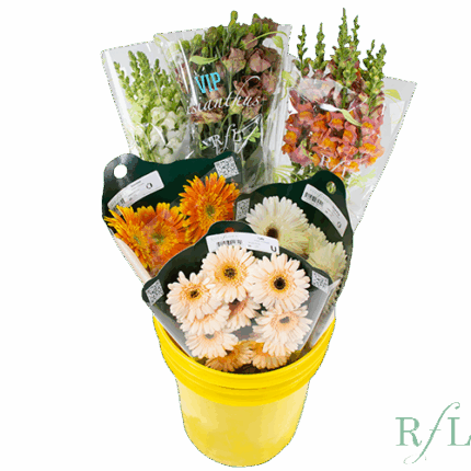 Asst Flower Pail Campfire Smor