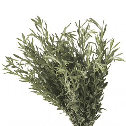 Lavender Foliage Bouquets each