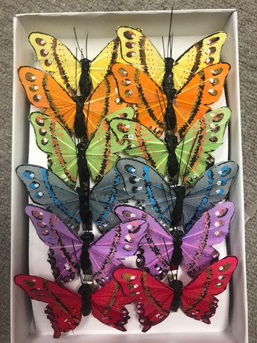 BUTTERFLY 3.75" spring mix w/c