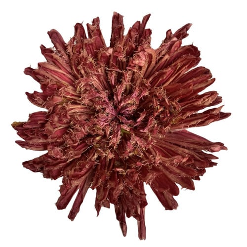 ec887d1f-902d-47ad-b796-a544df7ea0d3.jpg Mum Cremon Red Batman sole - Image 1