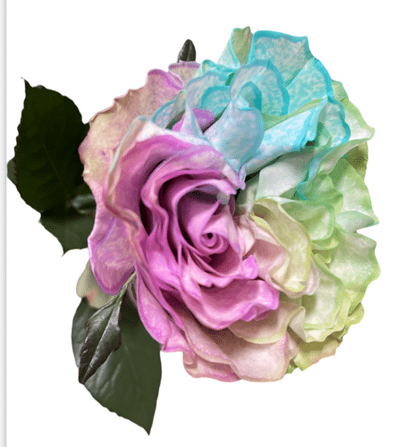 ec9d8c9c-3c46-4c8e-b00e-2c61c2d3627f.png Rose Aquarella 60cm florecal - Image 1