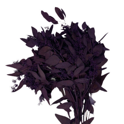 Eucalyptus Seeded Purple mella