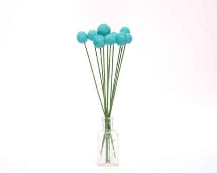 Craspedia Pop Blue florisol