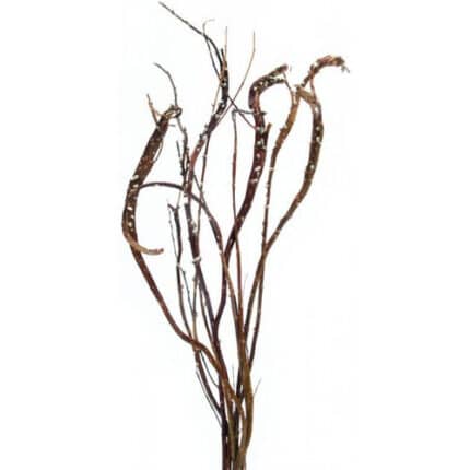 Pwillow Fantail 4ft cramer 6st