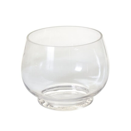 Discovery Terrarium 10"x8"