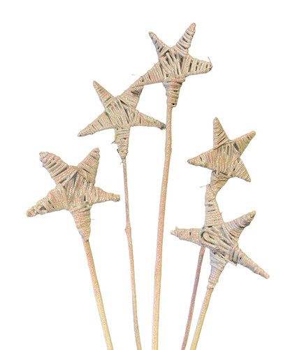 Branch stars painted white 5 per bunch