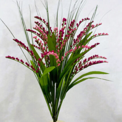 Filler grass pink bush x12