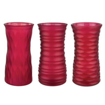 Rose Vs 8 1/2" ruby frost 12cs