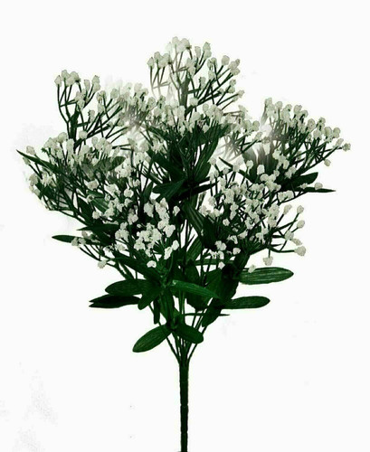 Gyp wht bush x11 spray