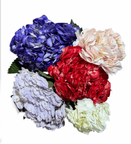 Hydrangea Vday(30st case)tessa