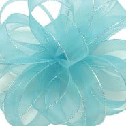 CORSAGE #3 Chic aqua w/opal edge 25yrds