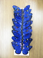 bUTTERFLY 4"ROYAL BL #4016 DZ