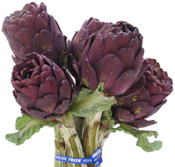 Artichokes baby purple ov(3st)