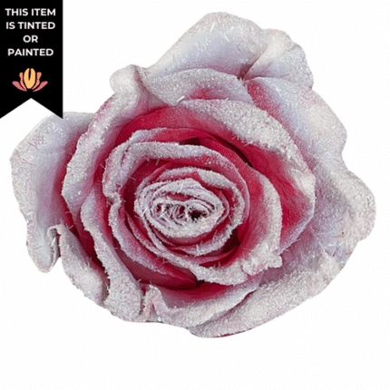Rose Tenderness 50cm florecal