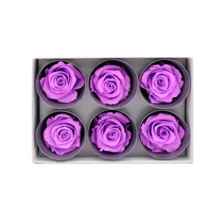 Lulu Rose Box Preserved Lilac